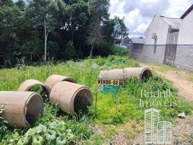 Terreno para Venda em Rio Negrinho - 4