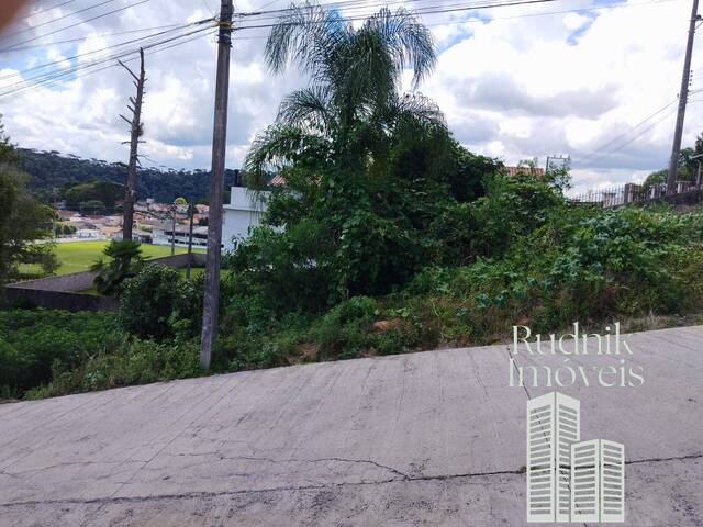 # - Terreno para Venda em Rio Negrinho - SC