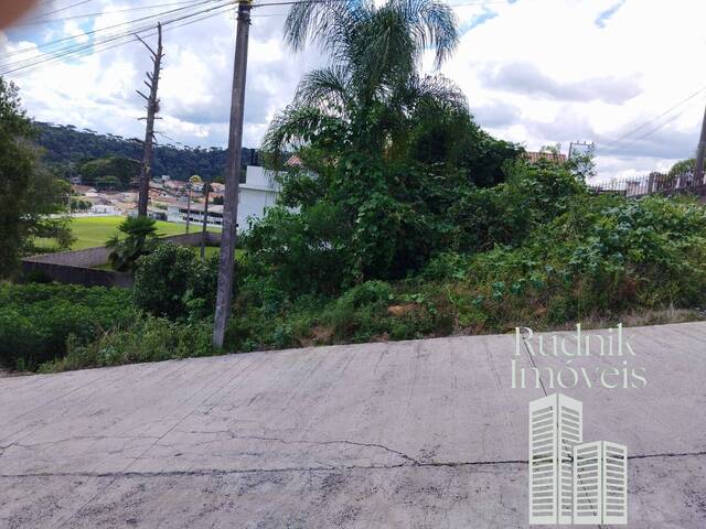 # - Terreno para Venda em Rio Negrinho - SC