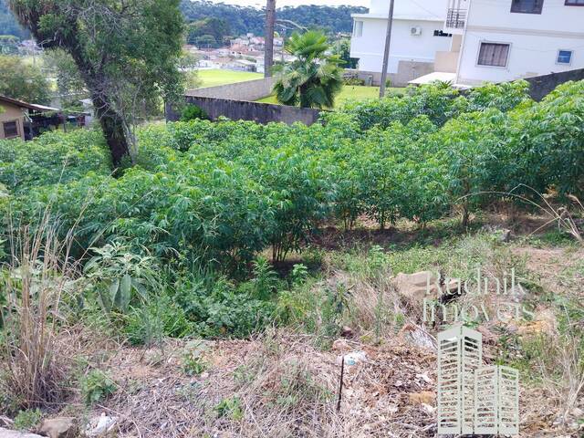 #4 - Área para Venda em Rio Negrinho - SC