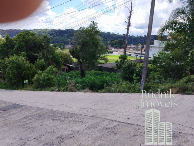 #4 - Área para Venda em Rio Negrinho - SC